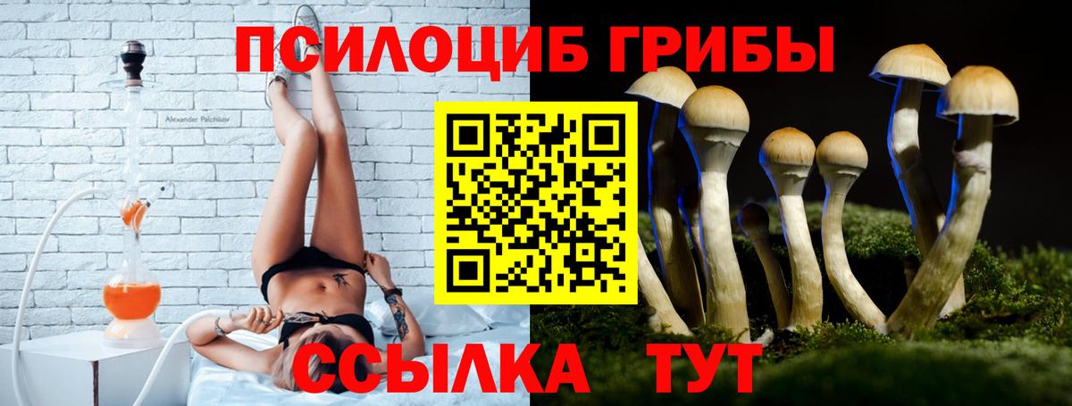 Псилоцибиновые грибы Psilocybine cubensis Фролово